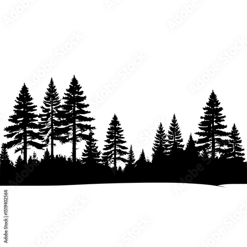 Pine trees under moonlight silhouette