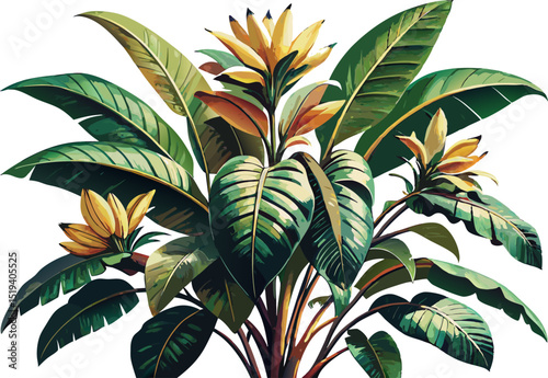 Detailed vintage banana plant with floral elements, ink sketch style isolated on white background 