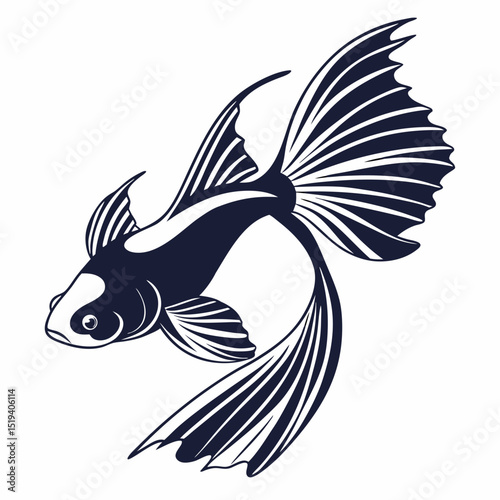Artwork Illustration Elegant Black White Koi Fish Aquatic Animal Design