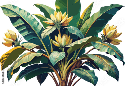 Detailed vintage banana plant with floral elements, ink sketch style isolated on white background 