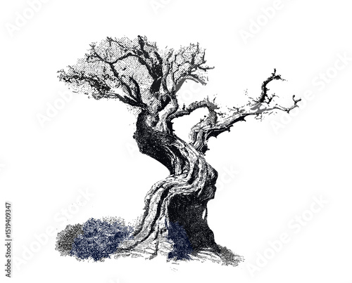 Creepy old tree with stippling texture, Halloween collage element in vintage style, vector illustration with surreal grunge effect, psychedelic poster art, eerie landscape, png.