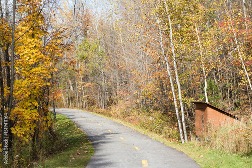 Autumn season, cold weather, orange tree, maple leaf at Mot-Tremblant, Quebec