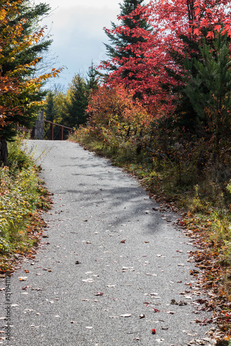 Autumn season, cold weather, orange tree, maple leaf at Mot-Tremblant, Quebec