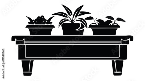 vector illustration of a plant