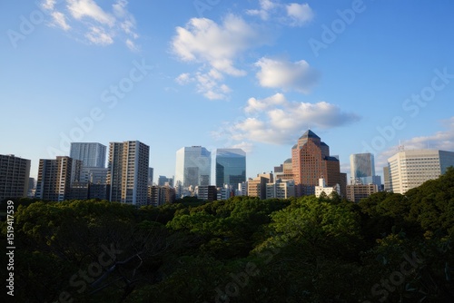 Modern city skyline with diverse skyscrapers under a blue sky with scattered clouds above dense green trees in the foreground