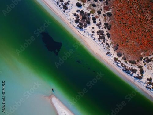 Aerial view of a winding river with green and dark blue water flowing alongside a sandy shoreline with sparse vegetation and reddish terrain under clear conditions