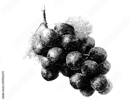 Grape vector illustration with grunge punk y2k collage design, halftone stipple texture, vintage photocopy style, grainy noisy dotwork, retro fashion aesthetic, edgy textured elements.