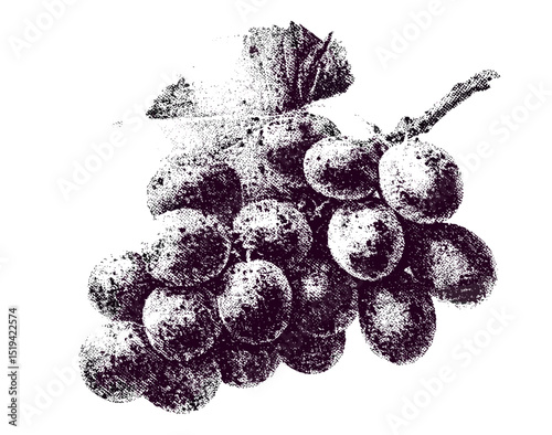 Grape vector illustration with halftone stipple effect, grunge punk collage design, vintage photocopy style, noisy dotwork, grainy textured element, y2k aesthetic, retro fashion style.