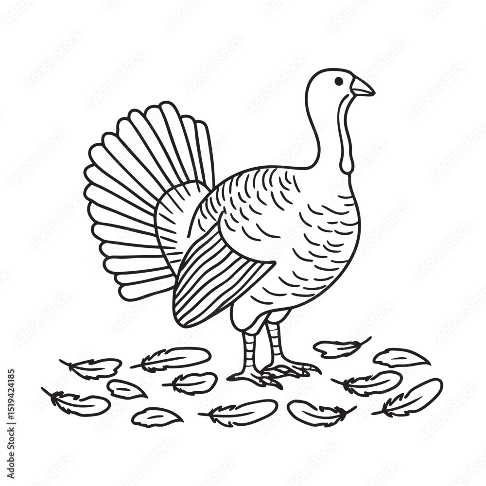 Fototapeta premium A turkey with feathers scattered nearby