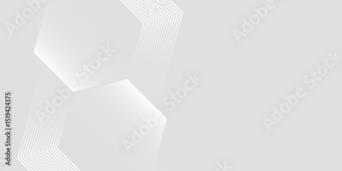 background design with hexagonal line pattern in grey colour. Vector white horizontal template for business banner, formal invitation luxury.