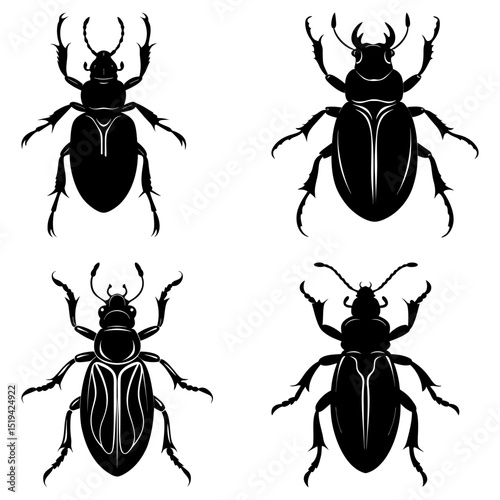 Illustration featuring four different beetle species in a black silhouette style on white background