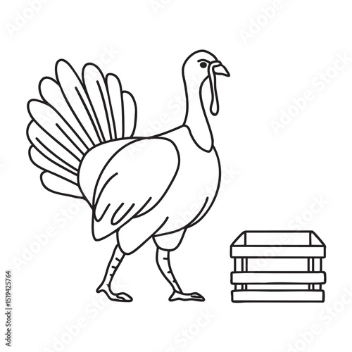 A turkey moving near a wooden crate