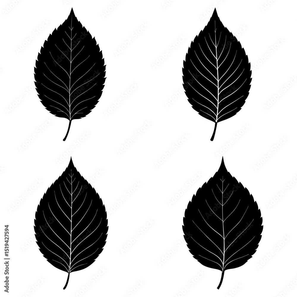 Obraz premium Four black leaves with detailed veins arranged in a square pattern on a white background design element