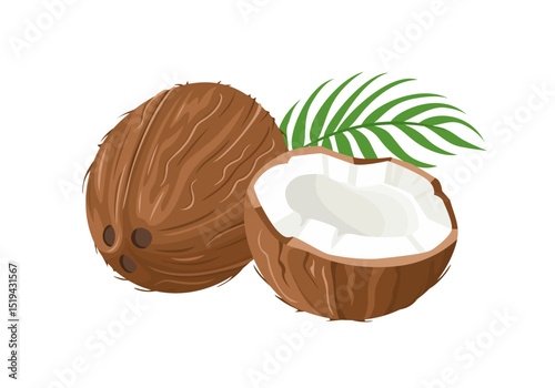 Coconut whole, half and green leaf isolated on white background. Vector cartoon flat illustration. Food icons.