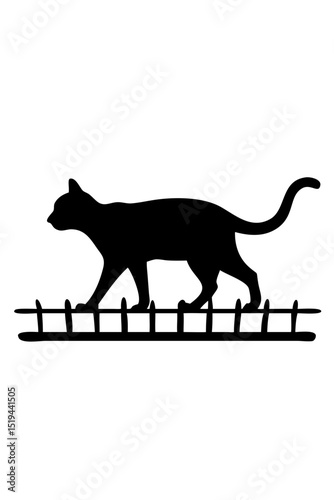 Cat walking along a fence under a clear sky during late afternoon