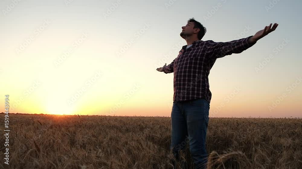man in a plaid shirt stands in a sunlit wheat field at dusk, arms outstretched towards the sky, symbolizing gratitude, freedom, and spiritual connection man in a plaid shirt stands in a sunlit wheat field at dusk, arms outstretched towards the sky, symbolizing gratitude, freedom, and spiritual connection
