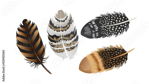 Decorative collection of colorful feathers showcasing various patterns and textures for artistic inspiration