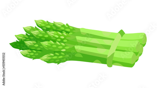 Fresh green asparagus bundle ready for cooking or salads