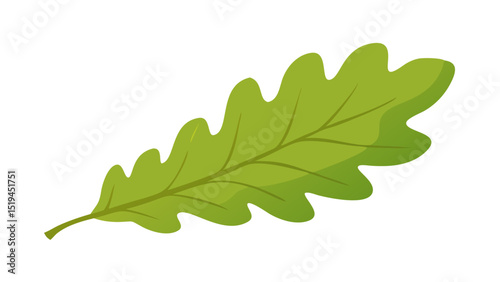 Bright green oak leaf showcasing intricate details and natural beauty in a simplistic design