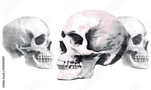 Skull with halftone stipple effect, pop art style dotted skeleton head, vintage emo gothic art banner, rock music poster, album cover, vector illustration, y2k collage, punk design, grunge