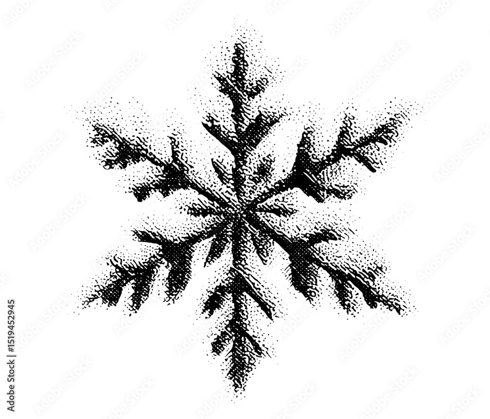 Grunge punk Y2K collage design with snowflake, halftone stipple effect, vector illustration, grainy textured element, vintage photocopy style, noisy dotwork, retro winter theme.