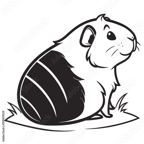 Cute guinea pig illustration black and white graphic vector drawing