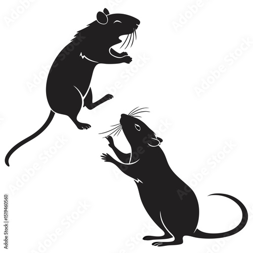 Silhouette illustration of two rats interacting playfully in black against a white background