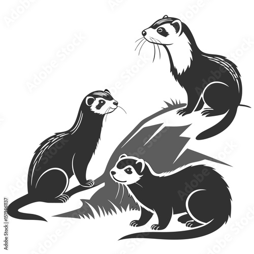 Three ferrets in black and white silhouette illustration vector graphic