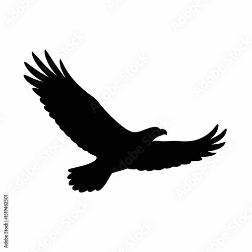Majestic Eagle in Flight: A Black Silhouette Against a White Background