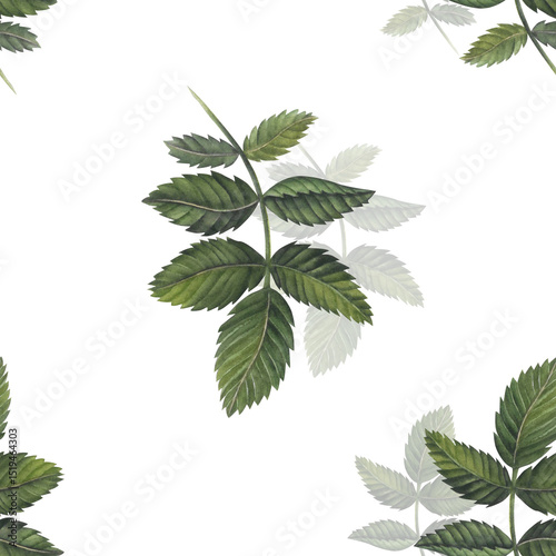 Rosehip branch watercolor illustration seamless pattern isolated on white background hand drawn. Green branch