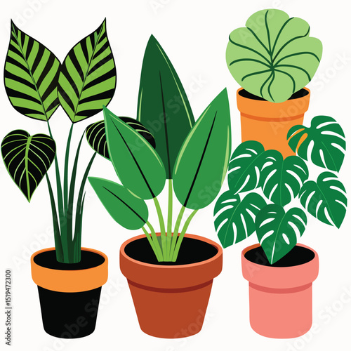 black and color pot plant vector art  for home and office 