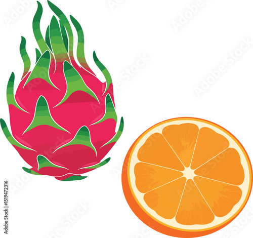 Realistic Dragon Fruit Vector – Healthy Tropical Fruit Clipart