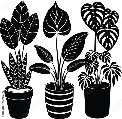 black and color pot plant vector art  for home and office 