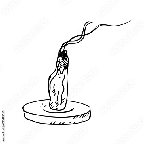 Palo Santo Incense sketch. Hand drawn with ink Smudge stick sacred tree. Aromatherapy and fumigation, spiritual practices, Ayurveda. Organic aroma plant. Vector on isolated background. Design element