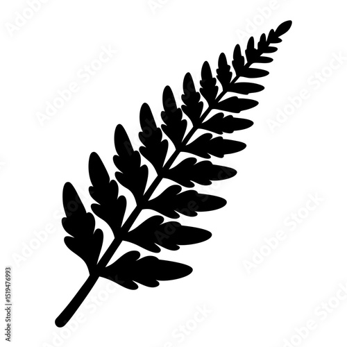 Silhouette of a fern frond, a beautiful minimalist botanical illustration element