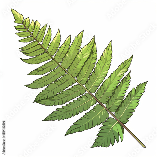 Vibrant Green Fern Frond Illustration Botanical Art Print