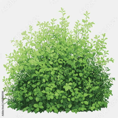 Lush Green Shrubbery Detailed Vector Illustration of Foliage