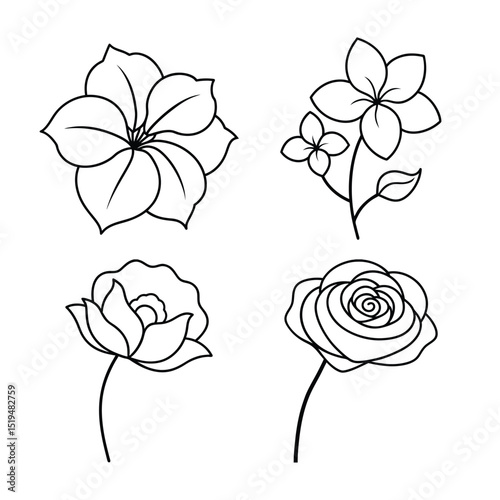 line art flower design bundle 