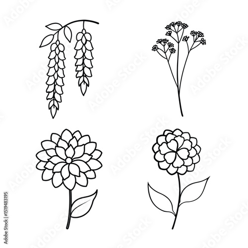 line art flower design bundle 