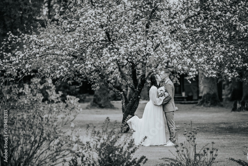 Bride and groom kiss tenderly under a blooming tree in a monochrome garden scene, capturing a timeless romantic moment on their wedding day.. photo