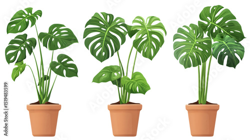 Wallpaper Mural Stylish Set of Monstera Plants in Pots - Indoor House Plants Collection Torontodigital.ca