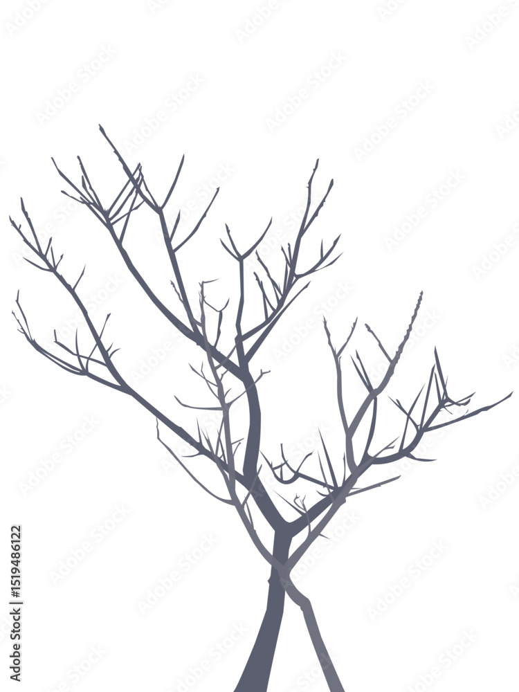 Naklejka premium Vector of leafless tree, silhouette of a tree