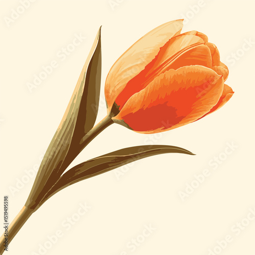 Elegant Orange Tulip Illustration Botanical Art Print