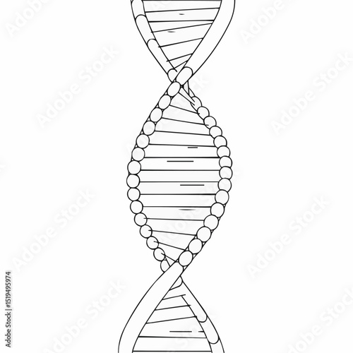 DNA double helix structure illustration in black and white  