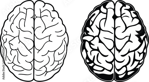 Two Brains One Outlined One Solid Black Representing Different Thinking Styles