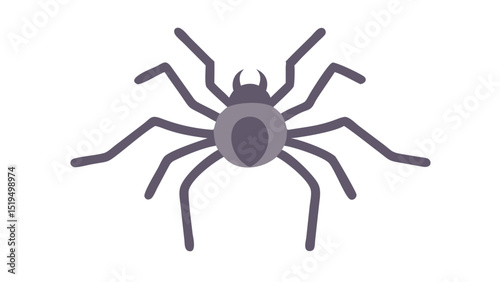 Spider illustration depicting a realistic arachnid design with intricate details on limbs and body for educational purposes