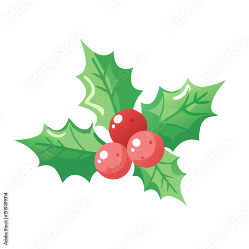 Bright green holly leaves with red berries on a white background, perfect for winter celebrations or festive decorations