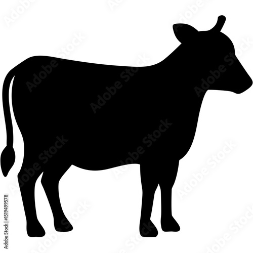 Silhouette of a cow standing in a pasture during twilight hours illustrating farm life and nature