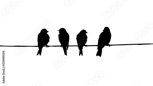 Four birds perched on a wire against a white background at sunset