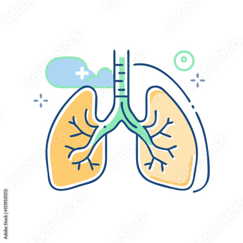 Healthy lungs illustration.
